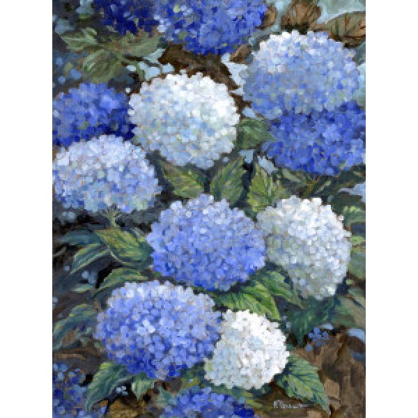 23064 Impressions of Hydrangeas I