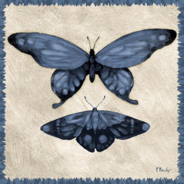 23657 Belle Butterfly II