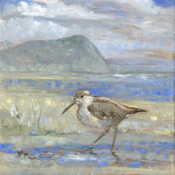 23106 Impressions of Sandpiper