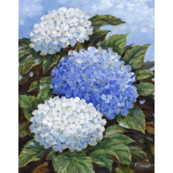 24002 Impressions of Hydrangeas V