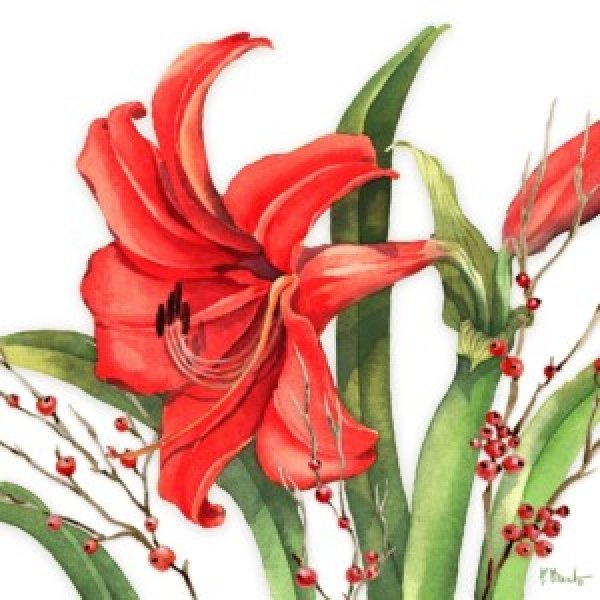 24630 Red Amaryllis and Holly