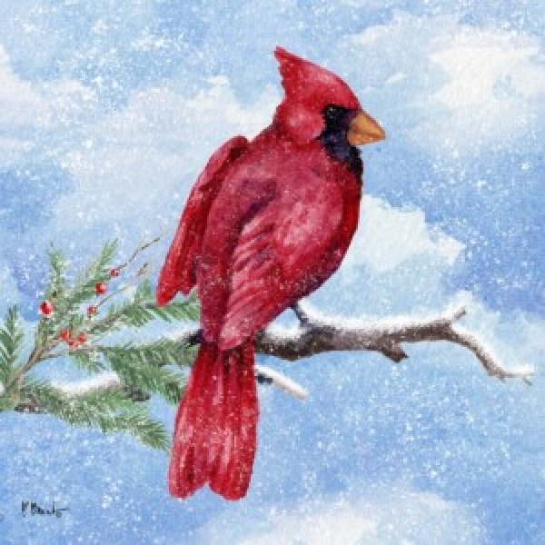 24702A Cardinal Flurry I - Holiday