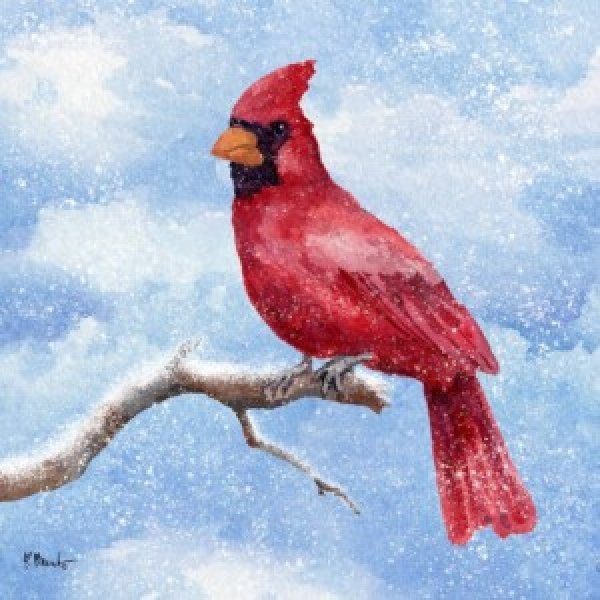 24703 Cardinal Flurry II