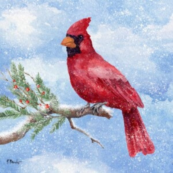 24703A Cardinal Flurry II- Holiday