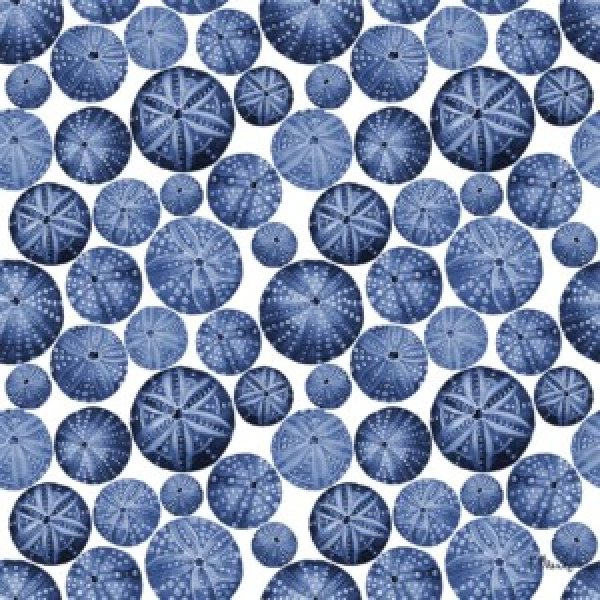 24716 Indigo Urchin Repeat I