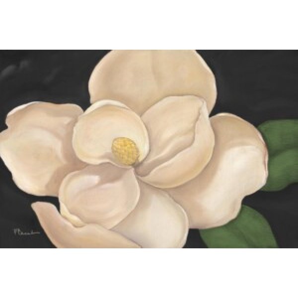 05137A - Magnolia Grandiflora - Black