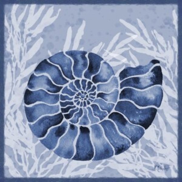 24737A Ammonite Shell II - Indigo