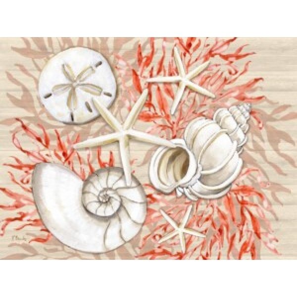 24744 Coral White Shells Horizontal