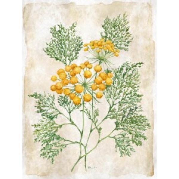 25501 Floral Journal II