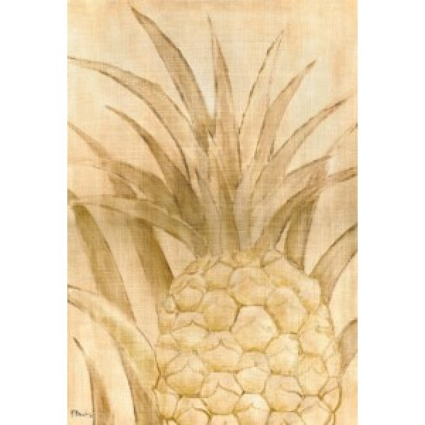 02052 Pineapple Background