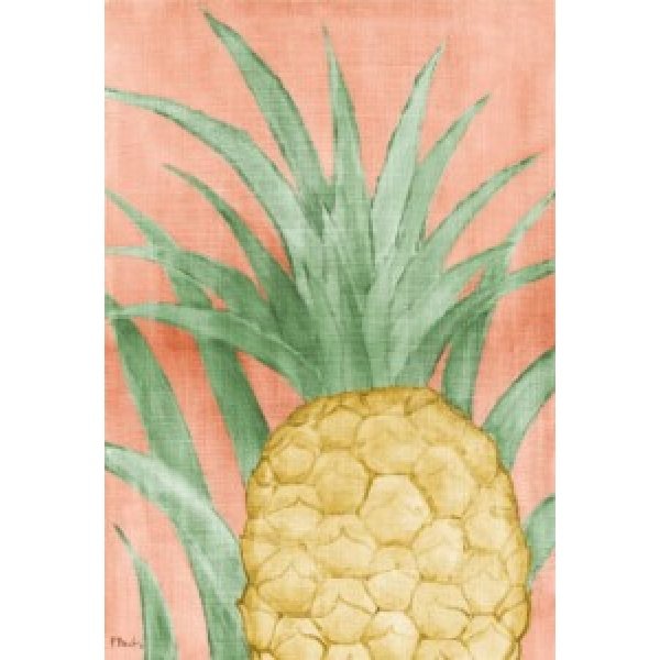 02052B Pineapple Background - Peach