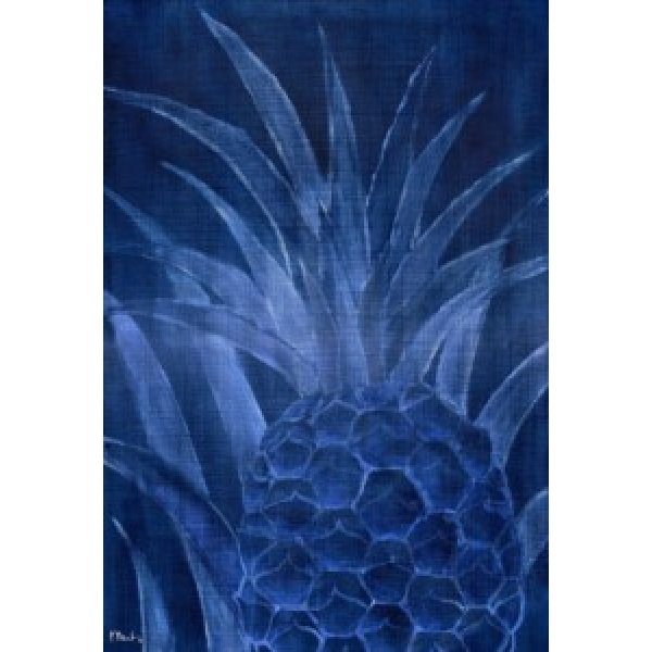 02052C Pineapple Background - Indigo