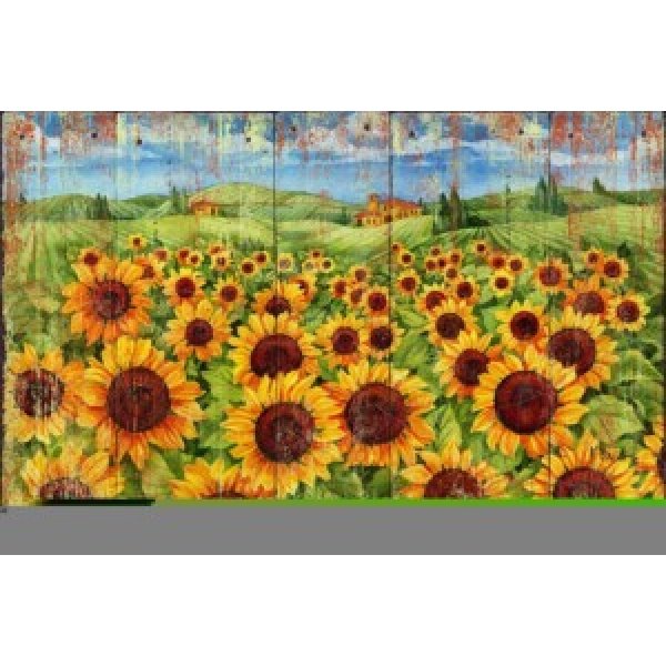 12117D Sunflower Field Distressed