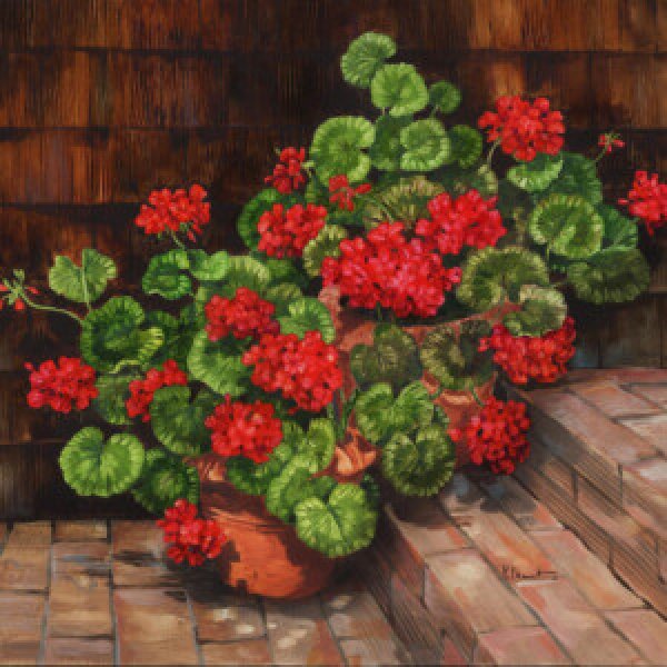 12681 Summer Geraniums Square