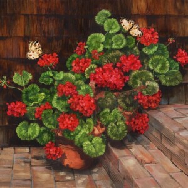 12681A  Summer Geraniums Square with Butterflies