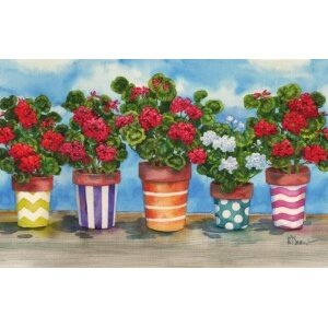 14091 Fancy Pots Geraniums