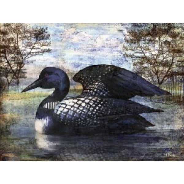 24597 Loon Pond Horizontal I