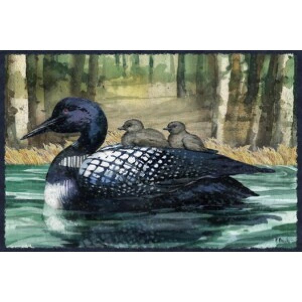 24598B Loon Pond Horizontal II - Babies