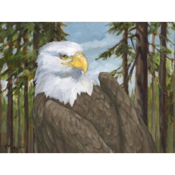 24605 Eagle's View Horizontal