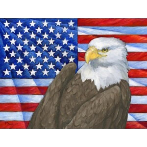 24608 Eagle's View Flag Horizontal