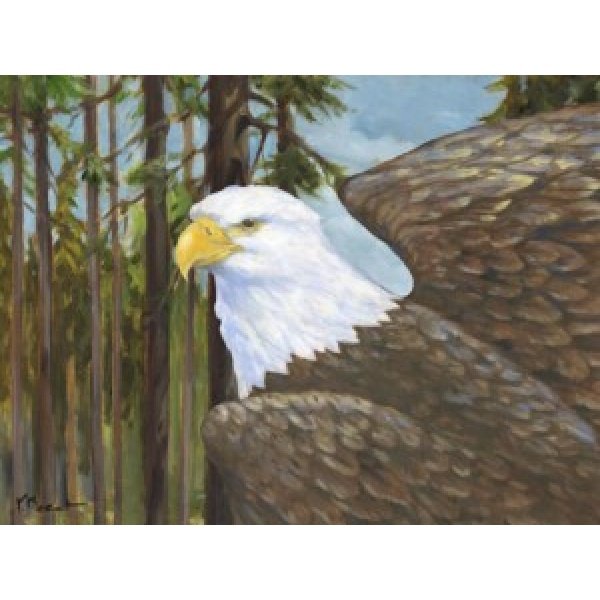24726 Eagle's View Horizontal II