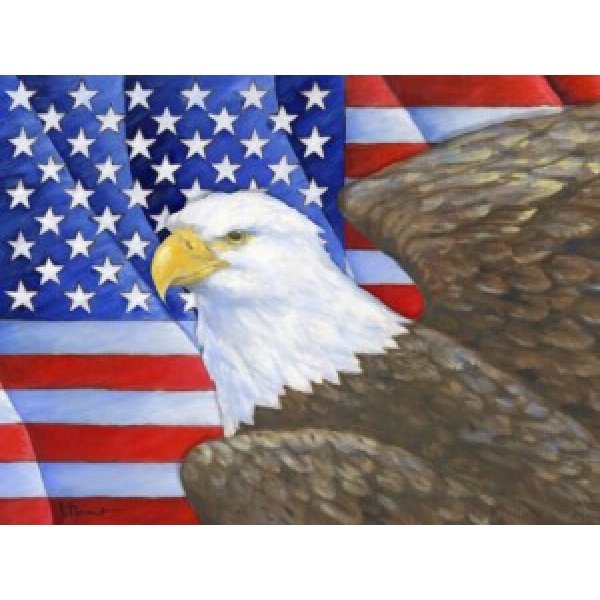 24727 Eagle's View Flag Horizontal II