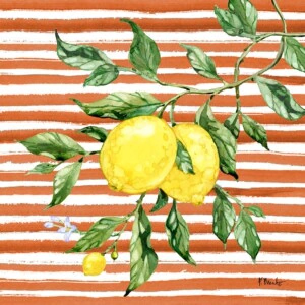 25507 Juicy Lemon Vine II