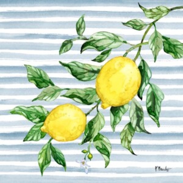 25509 Juicy Lemon Vine IV