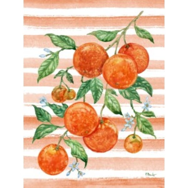 25512A Juicy Orange Vine Vertical - Orange
