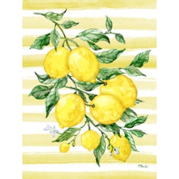 25513 Juicy Lemon Vine Vertical