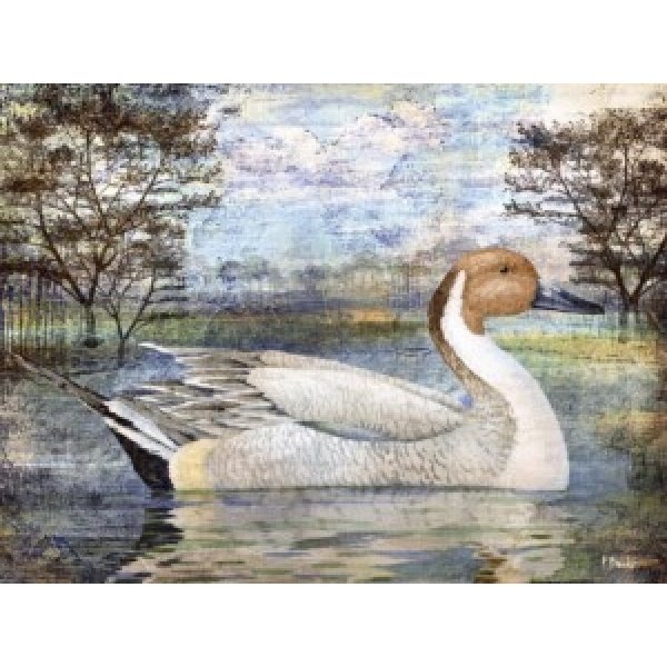 25516 Pintail Pond Horizontal
