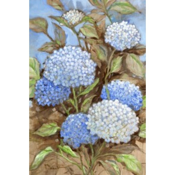 25011 Impressions of Hydrangeas V