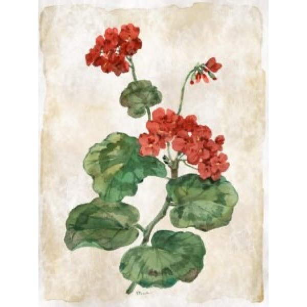 25523 Floral Journal VI