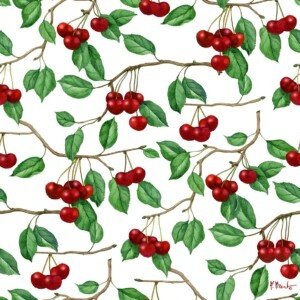 25540 Classic Cherry Repeat