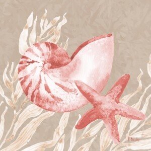 24502B Tampico Shells I - Peach