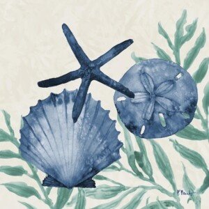 24503A Tampico Shells II - Sea