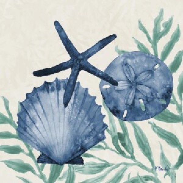 24503A Tampico Shells II - Sea