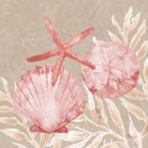 24504B Tampico Shells III- Peach