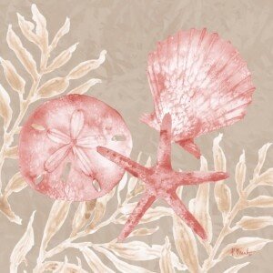 24503B Tampico Shells II - Peach