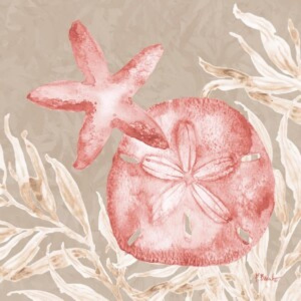 24505B Tampico Shells IV - Peach