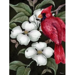 1101B Dogwood - Cardinal