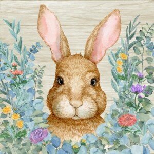 25544A Rabbit Laurel - Wood