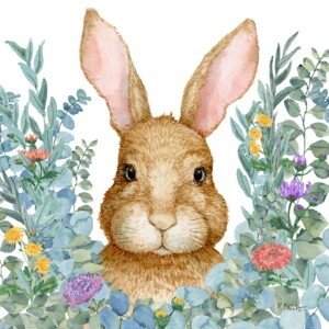 25544B Rabbit Laurel - White