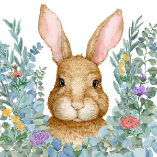 25544B Rabbit Laurel - White