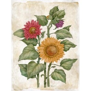25545A Floral Journal VIII - Multicolor