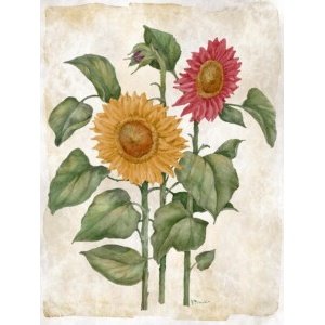 25546A Floral Journal IX - Multicolor