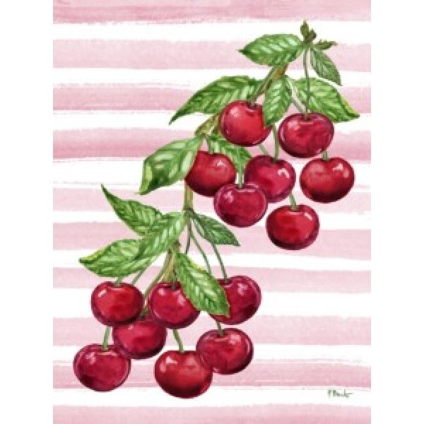 25547 Juicy Cherry Vine Vertical
