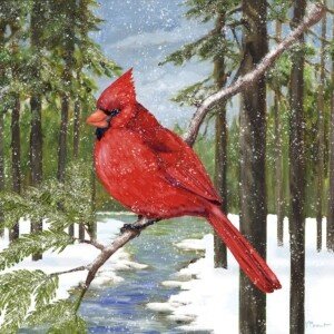 25551 Snowbank Forest Cardinal