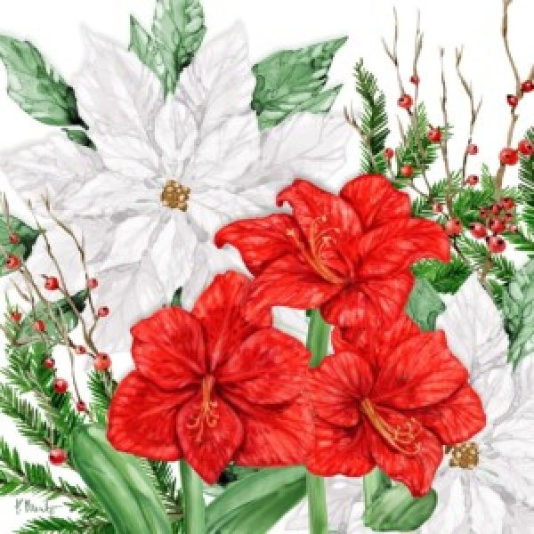 25556 Amaryllis & Poinsettias