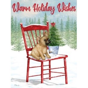 25572 Holiday Dog Chair I
